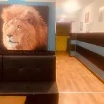 Next level hostel